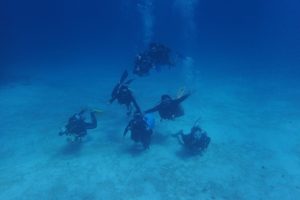 メキシコ　プラヤデルカルメン　ダイビング