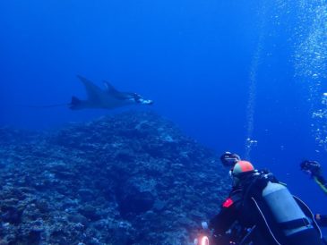 久米島　ダイビング