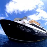 【2025年 FUNAZUL FLEET】 メキシコ直行便アエロメヒコ航空利用 ラパスダイビングクルーズ　9日間　最大15-16DV　バレンティーナ号利用　