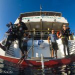 【世界遺産ｸﾞﾚｰﾄﾊﾞﾘｱﾘｰﾌ】6月～10月 ｺｯﾄﾞﾎｰﾙ＆ﾘﾎﾞﾝﾘｰﾌを廻る！ｽﾋﾟﾘｯﾄｵﾌﾞﾌﾘｰﾀﾞﾑ号　最大１１ＤＶ付！