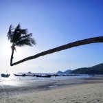 ＜4月～10月＞タイ航空利用 羽田発着 Ban’s利用 タオ島ダイビングツアー6日間 10DV付き