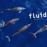 タヒチ島 ダイビングツアー　5日間・5ダイブ付
