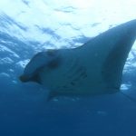 【6月～10月】　サンガラキリゾート滞在　羽田発　7日間9DV+食事付き