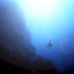 ＜11～5月＞八丈島ダイビングツアー　東海汽船利用 3泊4日 4DV付　4日間