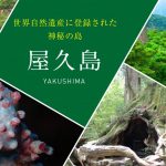 屋久島
