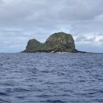 【6月～10月】西表島ダイビングツアー　関空発着JTA/ANA利用　3泊4日 / 4DV付　*延泊可（ダイビングチームうなりざき）