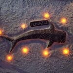 【2025/11/8発】★フレンズウィーク・キャンペーン★王道・南ルート9日間 スリランカ航空利用<18DV>
