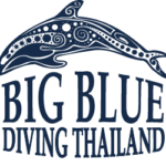 ＜5月～10月＞タイ航空利用 羽田発着 BIG BLUE利用 タオ島ダイビングツアー6日間 8DV付き