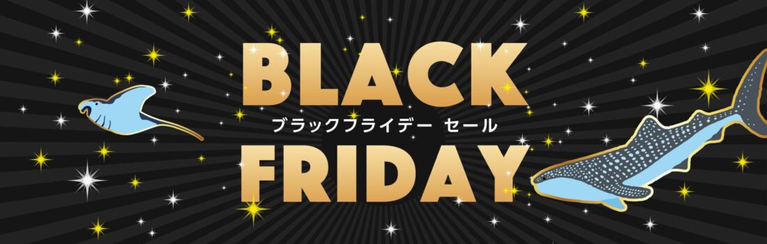 BlackFridayセール