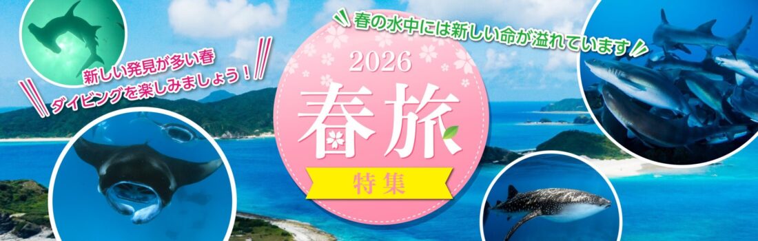 2026春旅