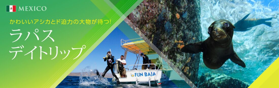 2024LAP DayTripスライダー